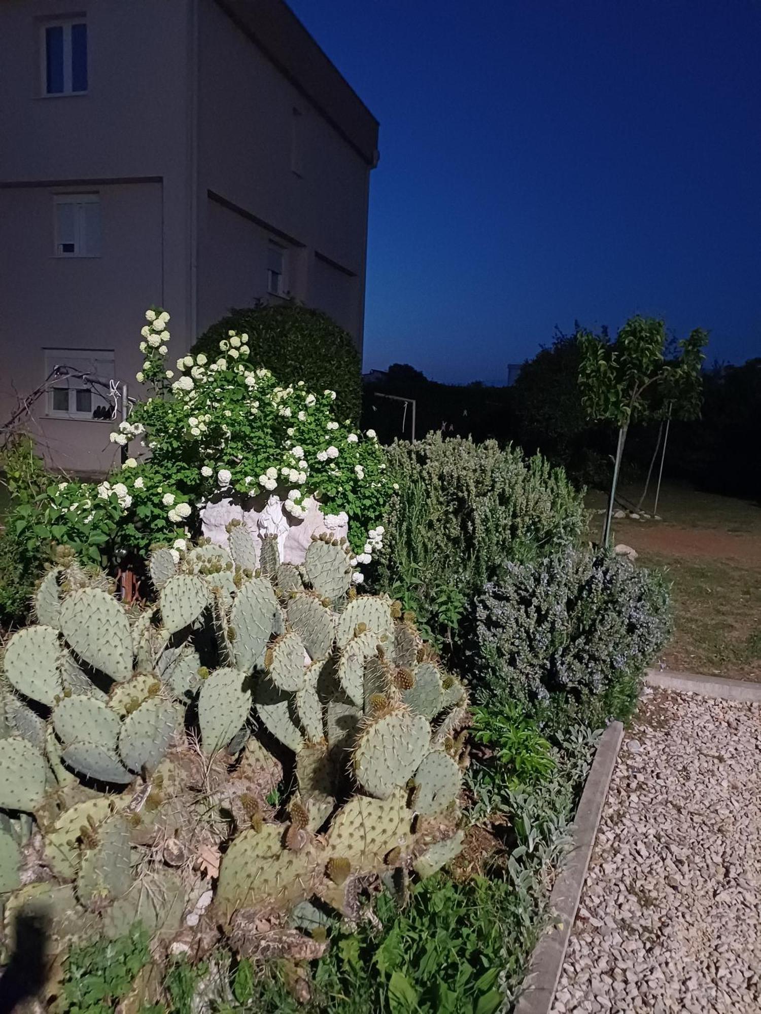 Villa Ana Međugorje Buitenkant foto