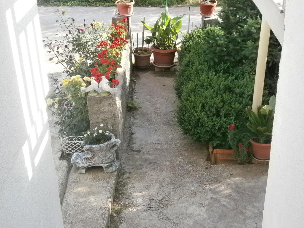 Villa Ana Međugorje Buitenkant foto