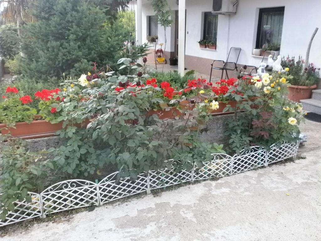 Villa Ana Međugorje Buitenkant foto